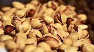 پسته اکبری با سایز بالا و طعم دلپذیر